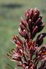 55285_374eebc4_t1.jpg
