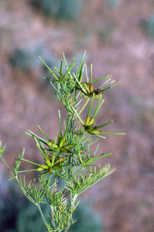 55289_62530c94.jpg