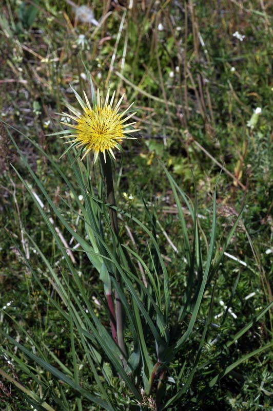 55297_990043df.jpg