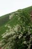 58784_6b58d183_t1.jpg