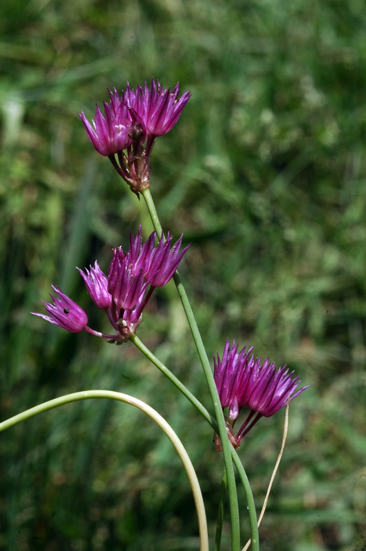 58810_437b60f6.jpg