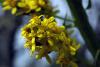 60220_31cddf24_t1.jpg