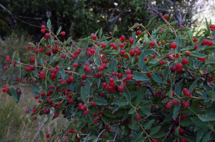 6151_c2d518c7.jpg