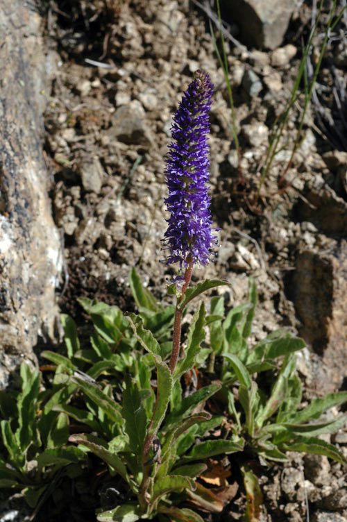6155_833da915.jpg
