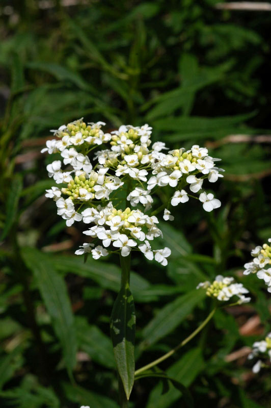 62000_89432ae7.jpg