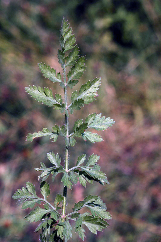 62022_7e69565b.jpg