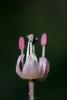 62204_ab70c237_t1.jpg
