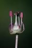 62205_d4406b4b_t1.jpg