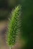 62222_374957e8_t1.jpg
