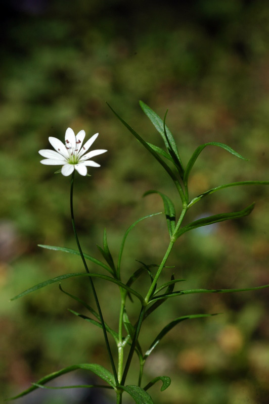 62250_8d960133.jpg