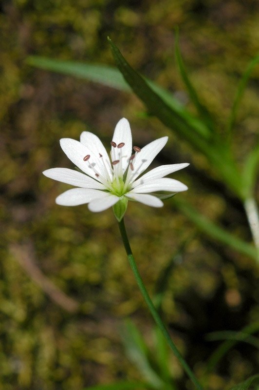 62251_daf75297.jpg