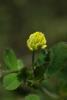 63201_32cb97a1_t1.jpg