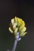 63202_867eddc9_t1.jpg