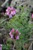 6418_bf567fc4_t1_1.jpg