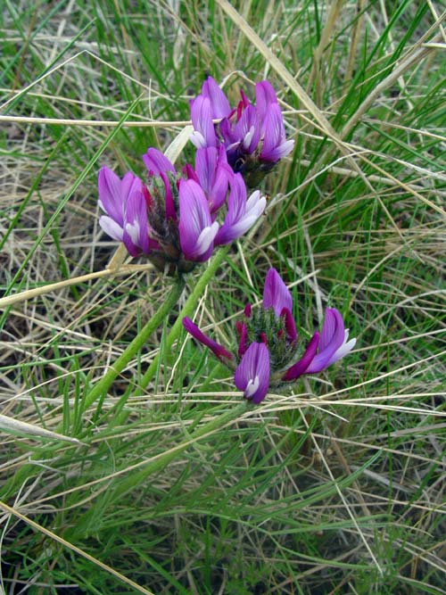 6419_de3d5f63.jpg