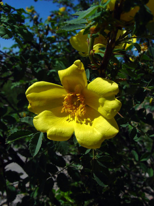 6606_234ade31.jpg