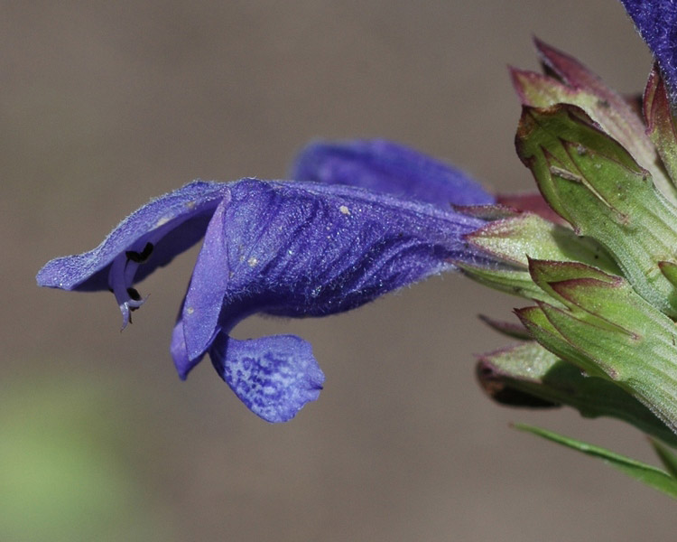 69644_06be6208.jpg