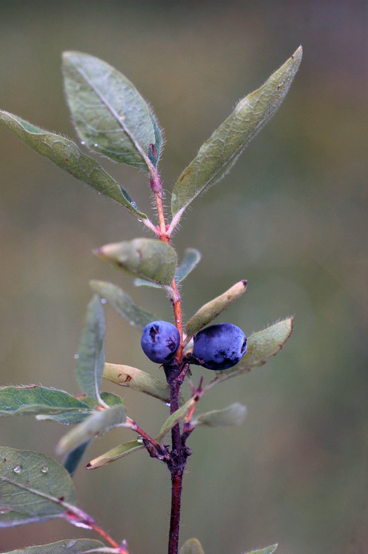 69758_2082e798.jpg