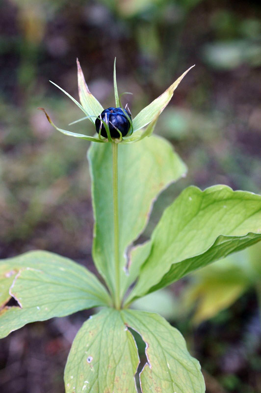 69769_3248abf0.jpg