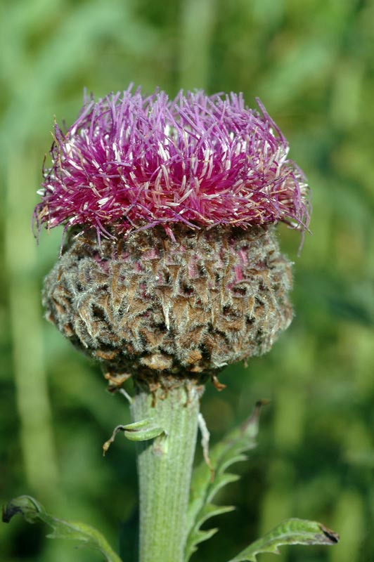 69779_938e5919.jpg
