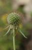 69797_76d6107e_t1.jpg