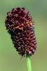 70022_824b6e30_t1.jpg