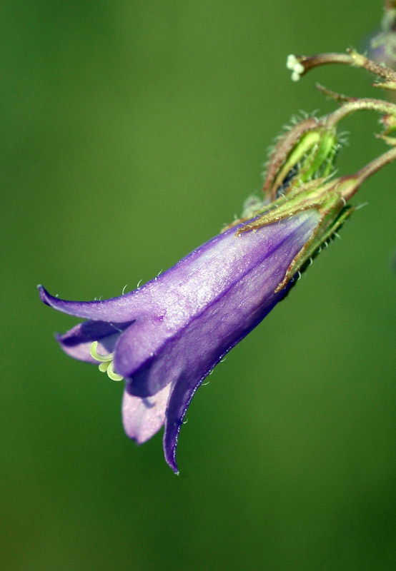70090_0d92f08c.jpg