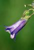70090_0d92f08c_t1.jpg