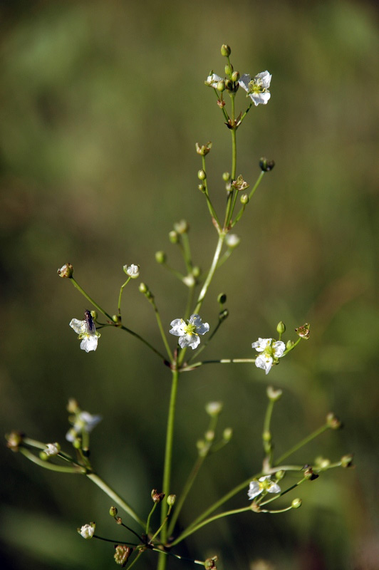70515_9954c83f.jpg