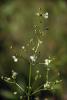 70515_9954c83f_t1.jpg