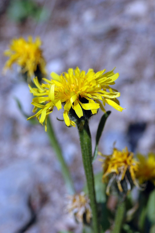 70615_d0890cc8.jpg