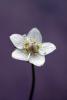 70636_0f6f4a6e_t1.jpg