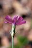 70641_e709d45f_t1.jpg