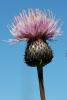 70863_4f0515d9_t1.jpg