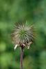 70868_80b9212d_t1.jpg