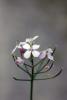 70871_f1124d7a_t1.jpg