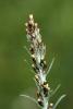 70957_d0cc0179_t1.jpg
