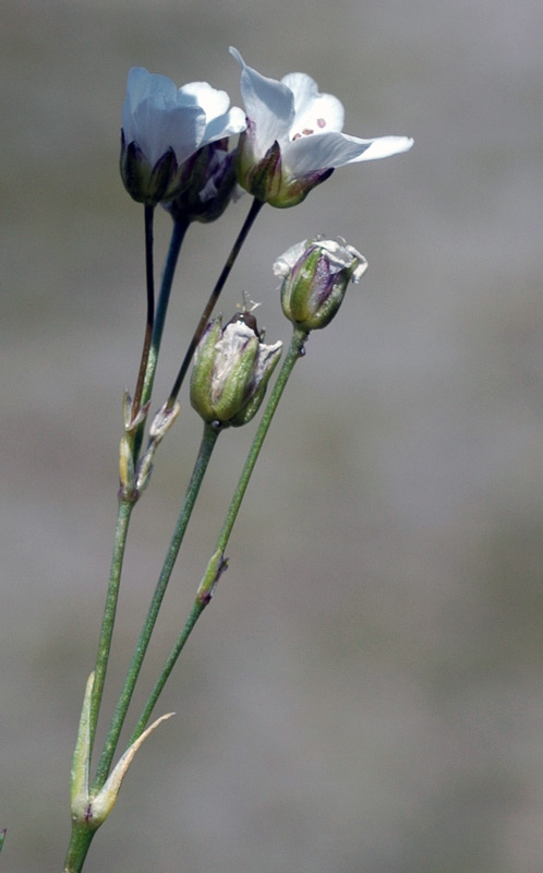 71922_7ffbc584.jpg