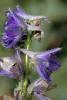 72144_675b4e17_t1.jpg