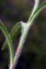 74090_ea99a9b2_t1.jpg