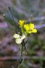 74091_b9f78d15_t1.jpg