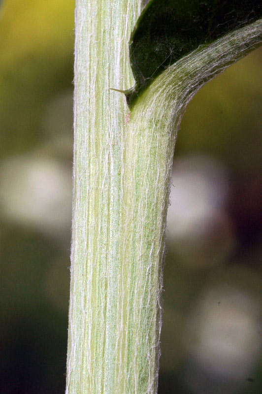74343_f963d01f.jpg