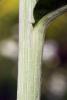 74343_f963d01f_t1.jpg