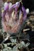 74431_ea710ca4_t1.jpg