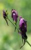 74569_64addb79_t1.jpg