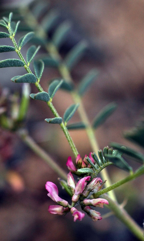 74583_5d698b65.jpg