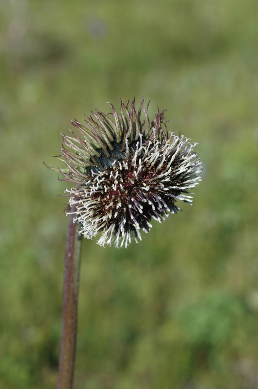 74938_d722ea86_1.jpg
