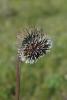 74938_d722ea86_t1_1.jpg