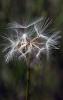 75106_5c58351c_t1.jpg
