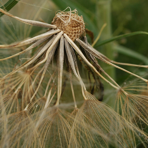 75411_c3bb468c.jpg